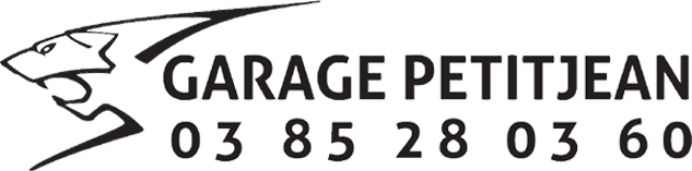 Logo Pichard new