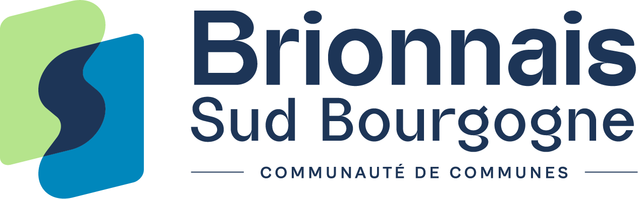 Logo BSB Hori Quadri