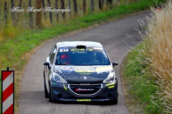 DSC_0947